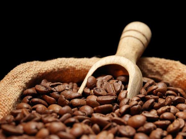 India Monsoon Malabar